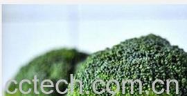 果蔬百科青花菜-0