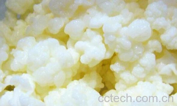 果蔬百科雪莲菌-0