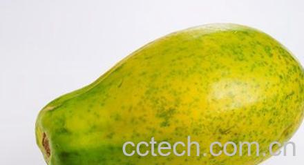 果蔬百科青木瓜-0