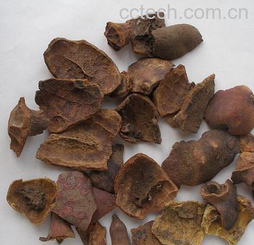 果蔬百科石榴皮-0