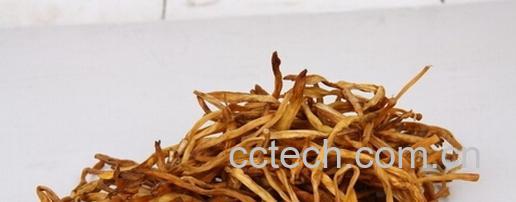 果蔬百科黄花菜-0