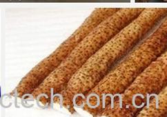 果蔬百科野山药-0