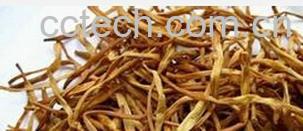 果蔬百科干黄花菜-0