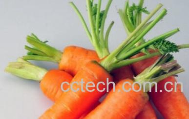 果蔬百科红萝卜-0