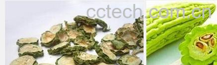 果蔬百科苦瓜干泡茶-0