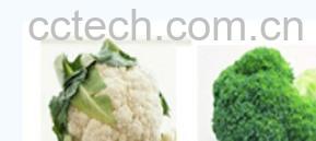 果蔬百科花菜-0