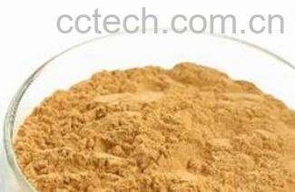 果蔬百科洋姜粉-0