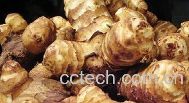 果蔬百科洋姜的腌制方法-0