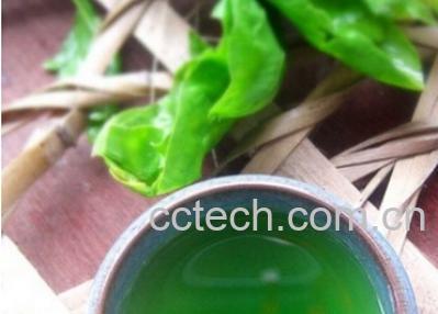 果蔬百科菠菜汁-0