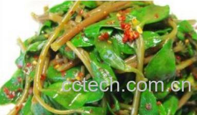 果蔬百科马齿笕-0