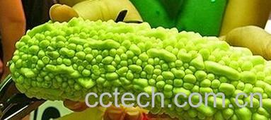 果蔬百科苦瓜-0