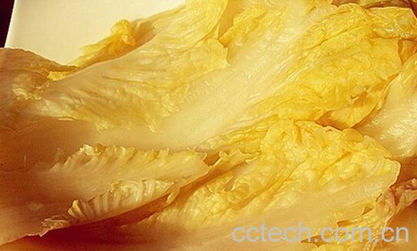 果蔬百科东北腌酸菜-0