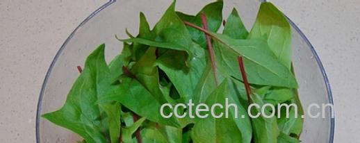 果蔬百科菠菜汁-0