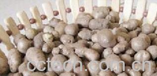 果蔬百科山药豆-0