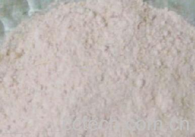 果蔬百科山药粉-0