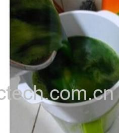 果蔬百科菠菜汁-0