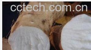 果蔬百科山药-0