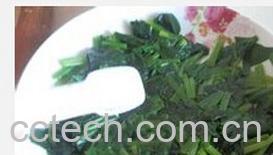 果蔬百科凉拌菠菜-0