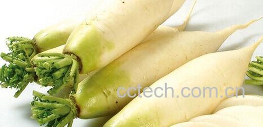果蔬百科白萝卜和蜂蜜-0
