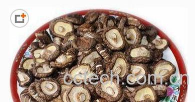 果蔬百科冬菇和香菇-0