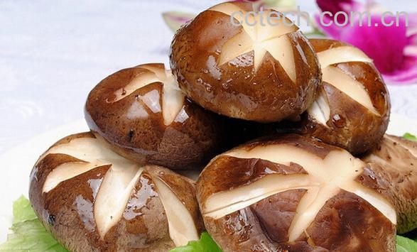 果蔬百科香菇-0