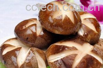 果蔬百科香菇-0