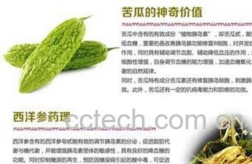 果蔬百科苦瓜洋参-0