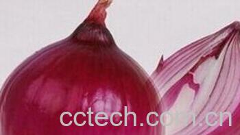 果蔬百科洋葱-0