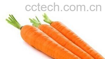 果蔬百科胡萝卜-0