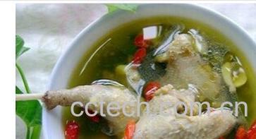 果蔬百科鸽子汤-0