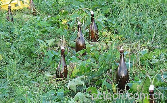 果蔬百科丝瓜水-0