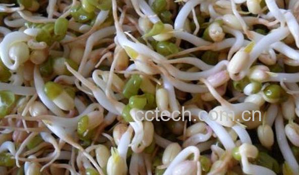 果蔬百科怎样制作豆牙-0