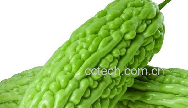 果蔬百科生吃苦瓜-0