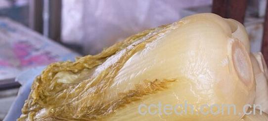 果蔬百科腌东北酸菜-0