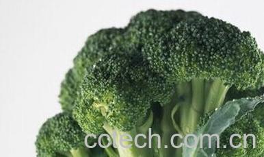 果蔬百科花菜-0