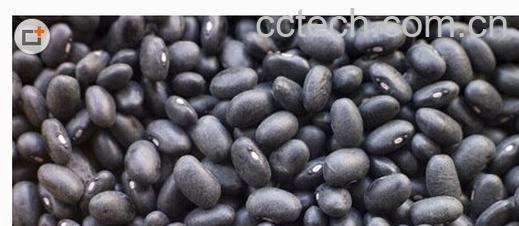 果蔬百科黑豆-0