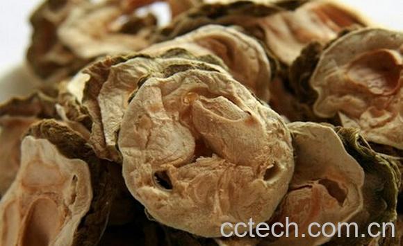 果蔬百科苦瓜片-0