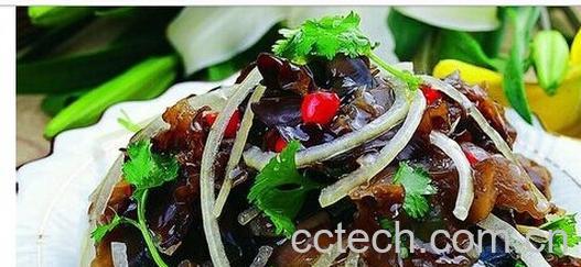 果蔬百科洋葱-0