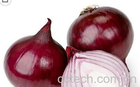 果蔬百科洋葱-0