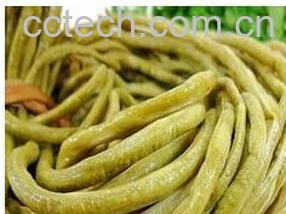 果蔬百科酸豆角-0