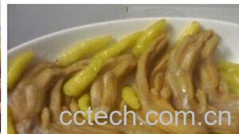 果蔬百科泡辣椒-0