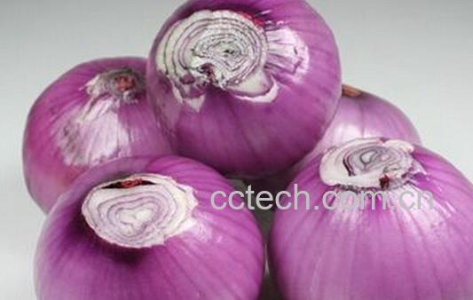 果蔬百科洋葱怎么吃软化血管-0