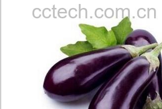 果蔬百科腌茄子咸菜-0