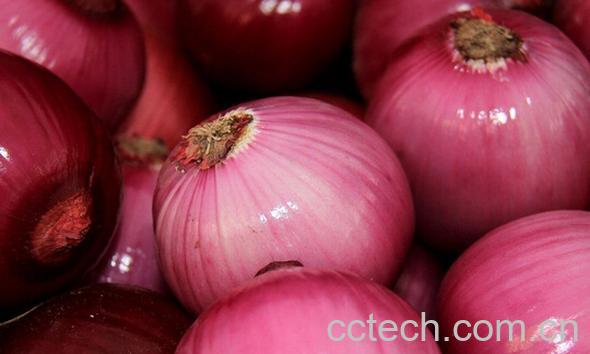 果蔬百科洋葱怎么吃能降血压-0