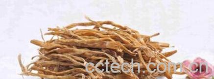 果蔬百科笋干-0