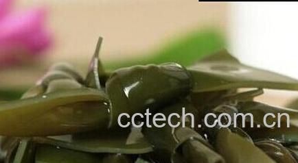 果蔬百科海带-0