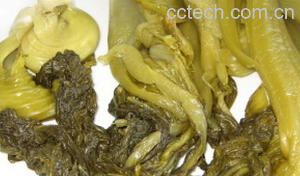 果蔬百科榨菜叶子-0