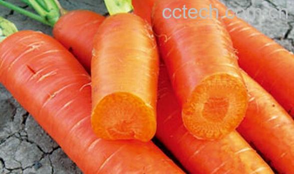 果蔬百科整个腌胡萝卜咸菜-0