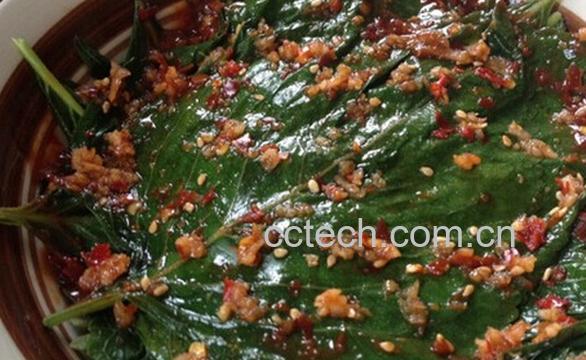 果蔬百科苏子叶咸菜-0