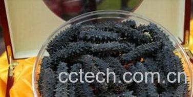 果蔬百科干海参如何保存-0